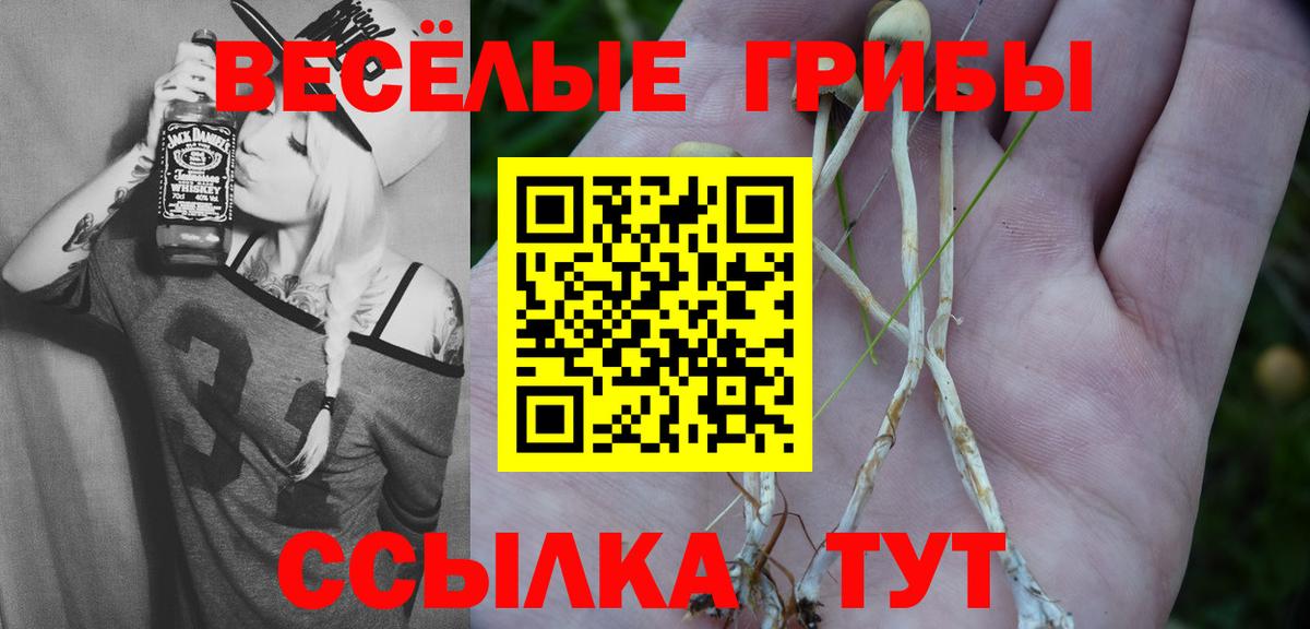 Псилоцибиновые грибы Psilocybine cubensis  Вход с VPN  Саяногорск 