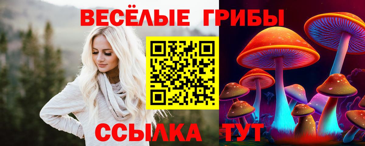 Псилоцибиновые грибы Magic Shrooms Саяногорск